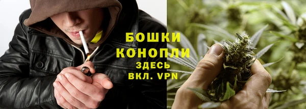 индика Покачи