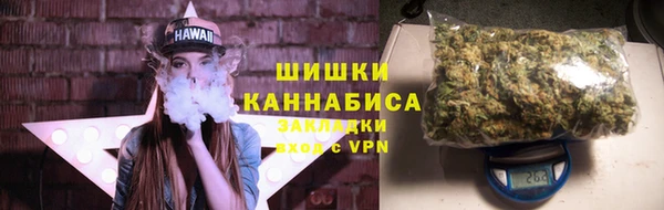 индика Покачи