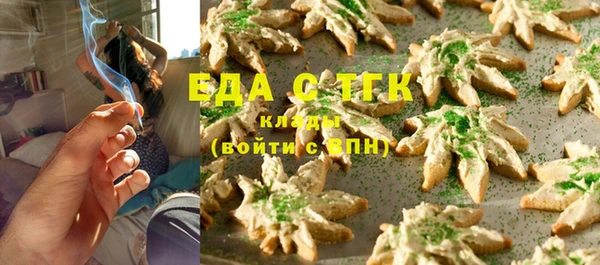 индика Покачи