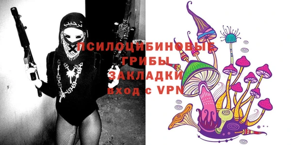 индика Покачи