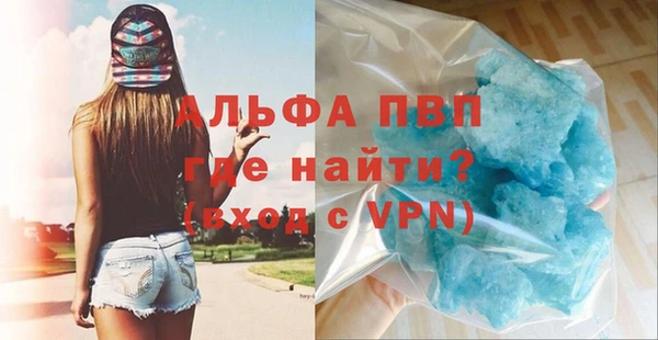 индика Покачи