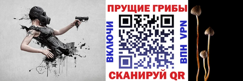 Галлюциногенные грибы ЛСД  Купить закладки  Светлый 